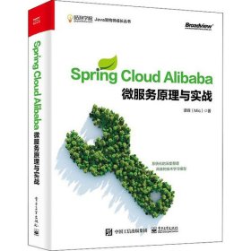 Spring Cloud Alibaba微服务原理与实战