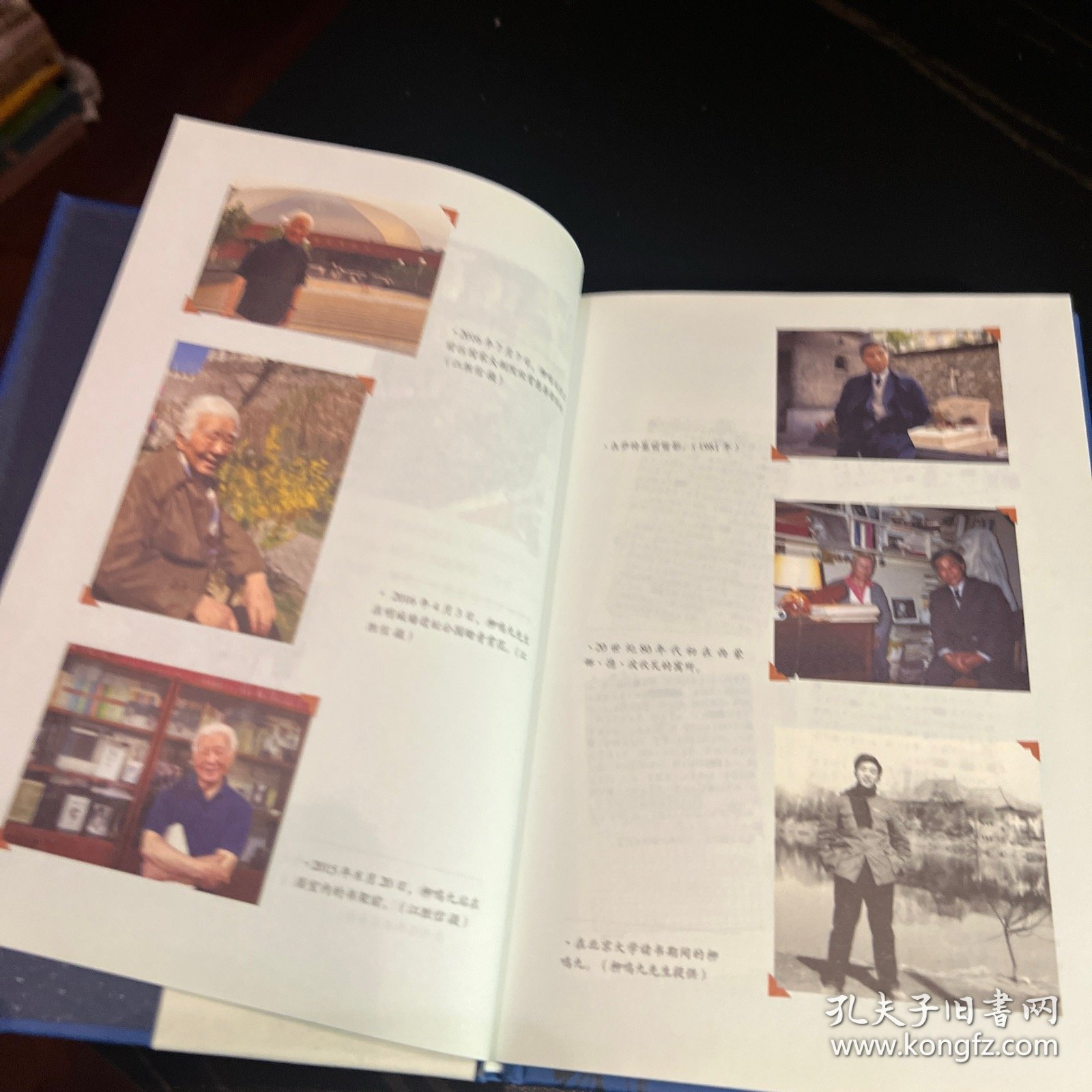 麦场上的遗穗：柳鸣九先生遗著集