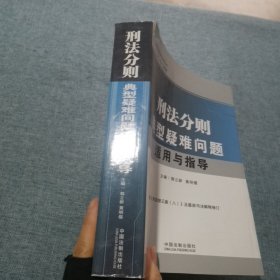 刑事法律适用与指导丛书：刑法分则典型疑难问题适用与指导