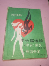 小说月报 增刊