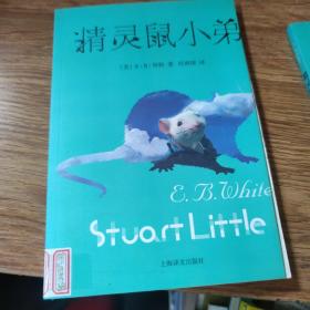 精灵鼠小弟