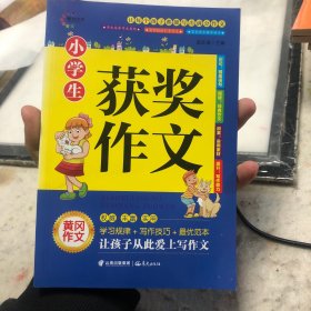 小学生获奖作文