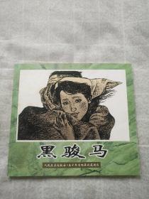 黑骏马