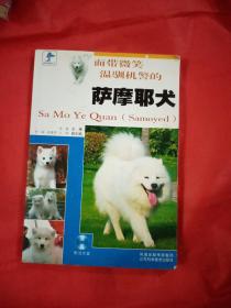 萨摩耶犬