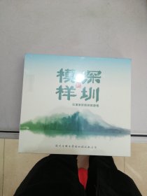 深圳的模样 深圳城管原唱歌曲辑