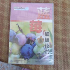 《CCTV7农广天地正版DVD光盘——蓝莓种植技术》