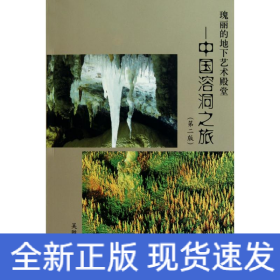 瑰麗的地下藝術(shù)殿堂/中國溶洞之旅(第2版)