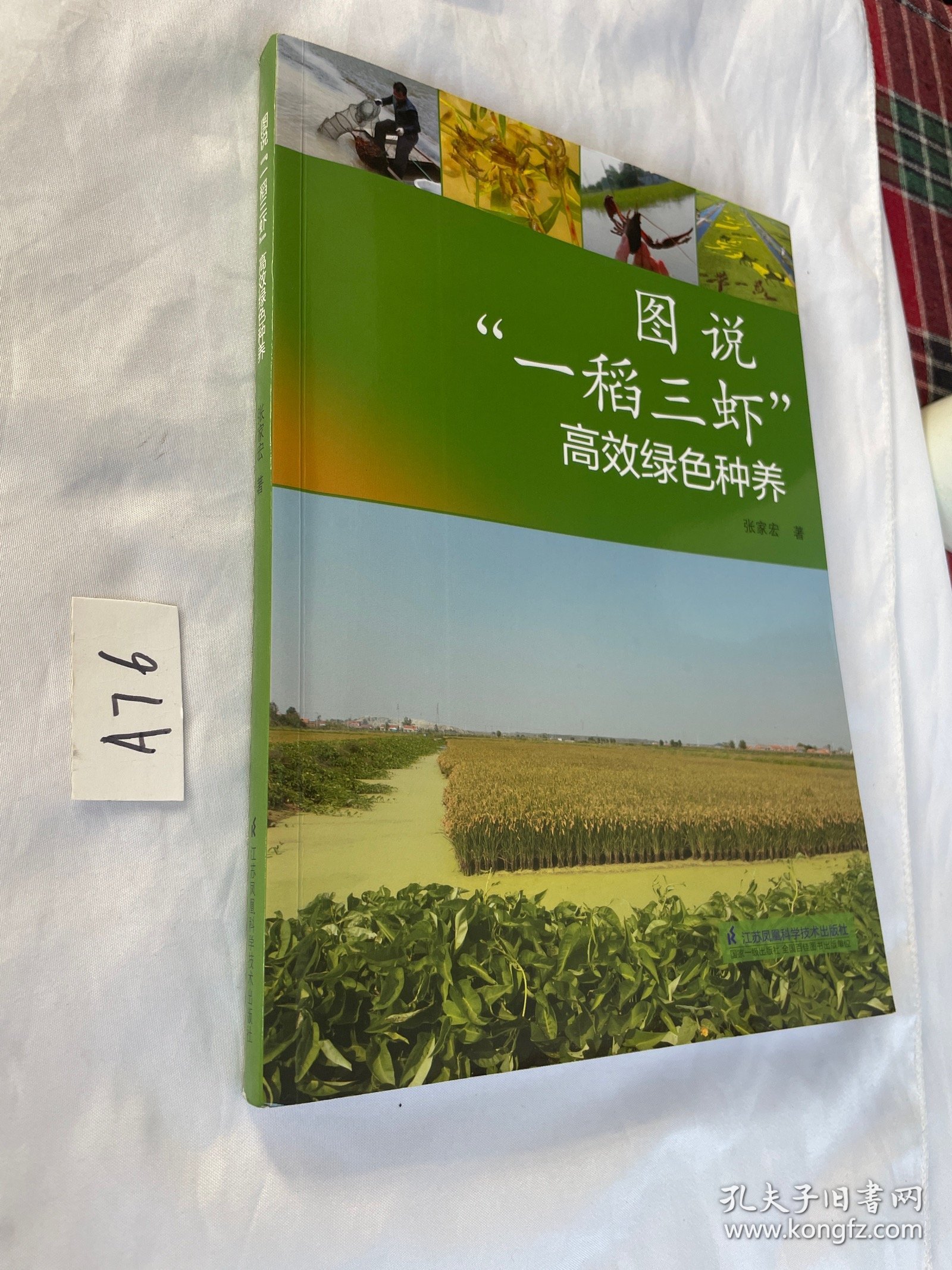图说“一稻三虾”高效绿种养 养殖 张家宏