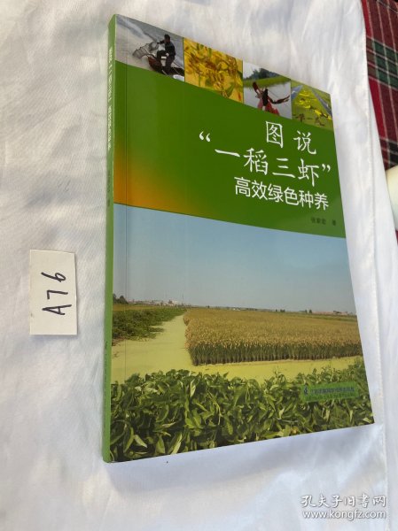 图说“一稻三虾”高效绿种养 养殖 张家宏