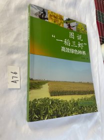 图说“一稻三虾”高效绿种养 养殖 张家宏
