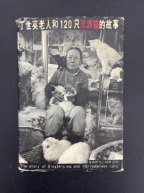 丁世英老人和120只流浪猫的故事