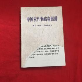 中国农作物病虫图谱 第三分册  旱粮病虫