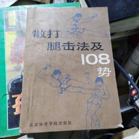 散打腿击法及108势