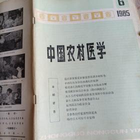 中国农村医学  1985年第6期