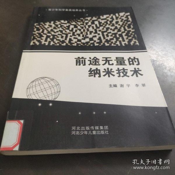 青少年科学素质培养丛书：前途无量的纳米技术