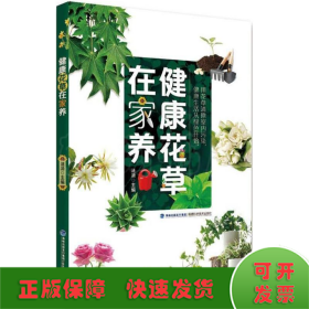 健康花草在家养