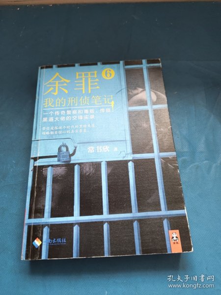 余罪6：我的刑侦笔记