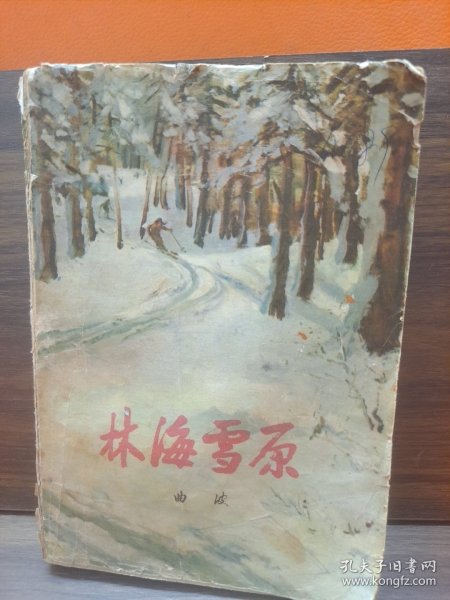 林海雪原