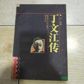 丁文江传