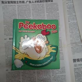 英语儿童绘本 my peekaboo