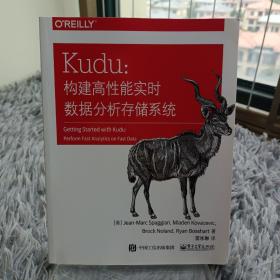 Kudu：构建高性能实时数据分析存储系统(博文视点出品)