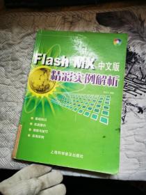 Flash MX中文版精彩实例解析