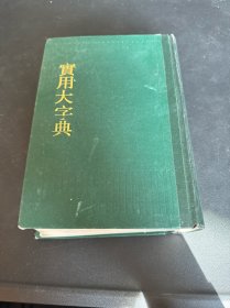 实用大字典