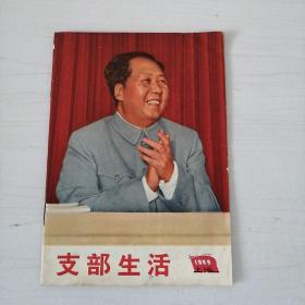 支部生活 1969 上海（45）