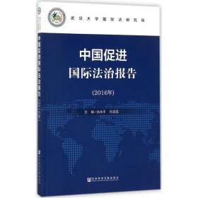 中国促进国际法治报告