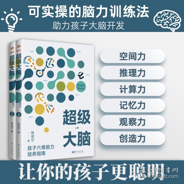 超级大脑：孩子六维能力培养指南