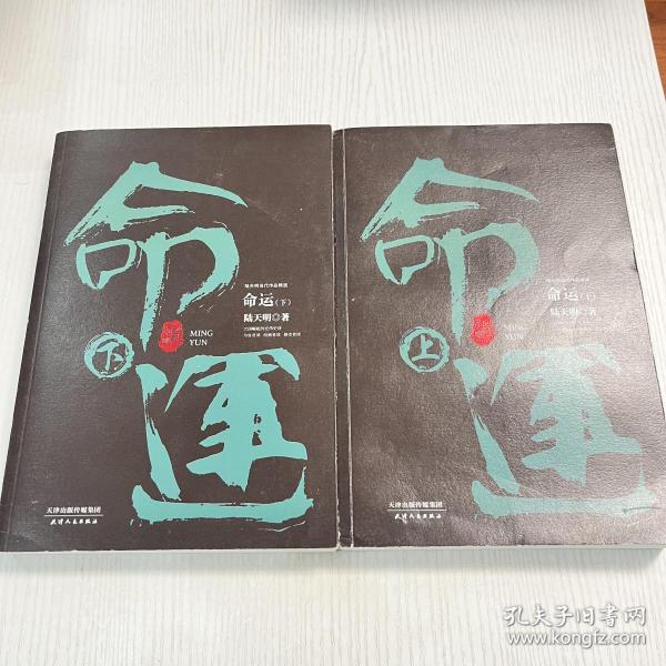 陆天明当代作品精选：命运（套装全2册）