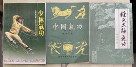 《中国气功（第三辑）铜钟气功》《徐氏太极气功》《少林气功》【3册合售】