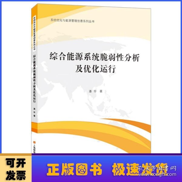 综合能源系统脆弱性分析及优化运行