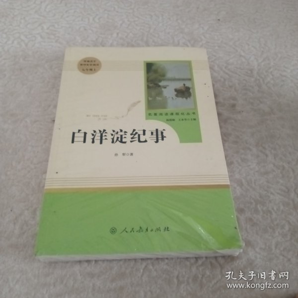 白洋淀纪事 名著阅读课程化丛书（统编语文教材配套阅读）七年级上