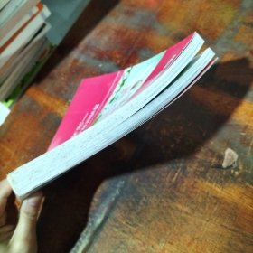 畅读经典1+1视听：完美女孩故事