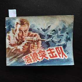 海狼突击队