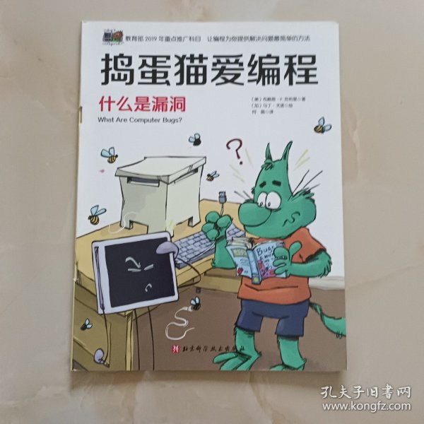 捣蛋猫爱编程-什么是漏洞