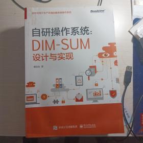 自研操作系统：DIM-SUM设计与实现(博文视点出品)