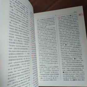 学生实用英汉词典（修订版）/新课标学生必备工具书