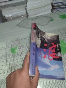 浪 ：一个“叛国者”的人生传奇 正版原版 扉页带一个章 书内容干净完整 书品八五品请看图