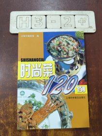 时尚菜120例