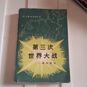 笫三次世界大战——一部未来史