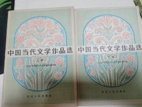中国当代文学作品选（上下册）