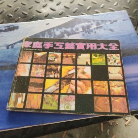 家庭手工艺实用大全 精装本