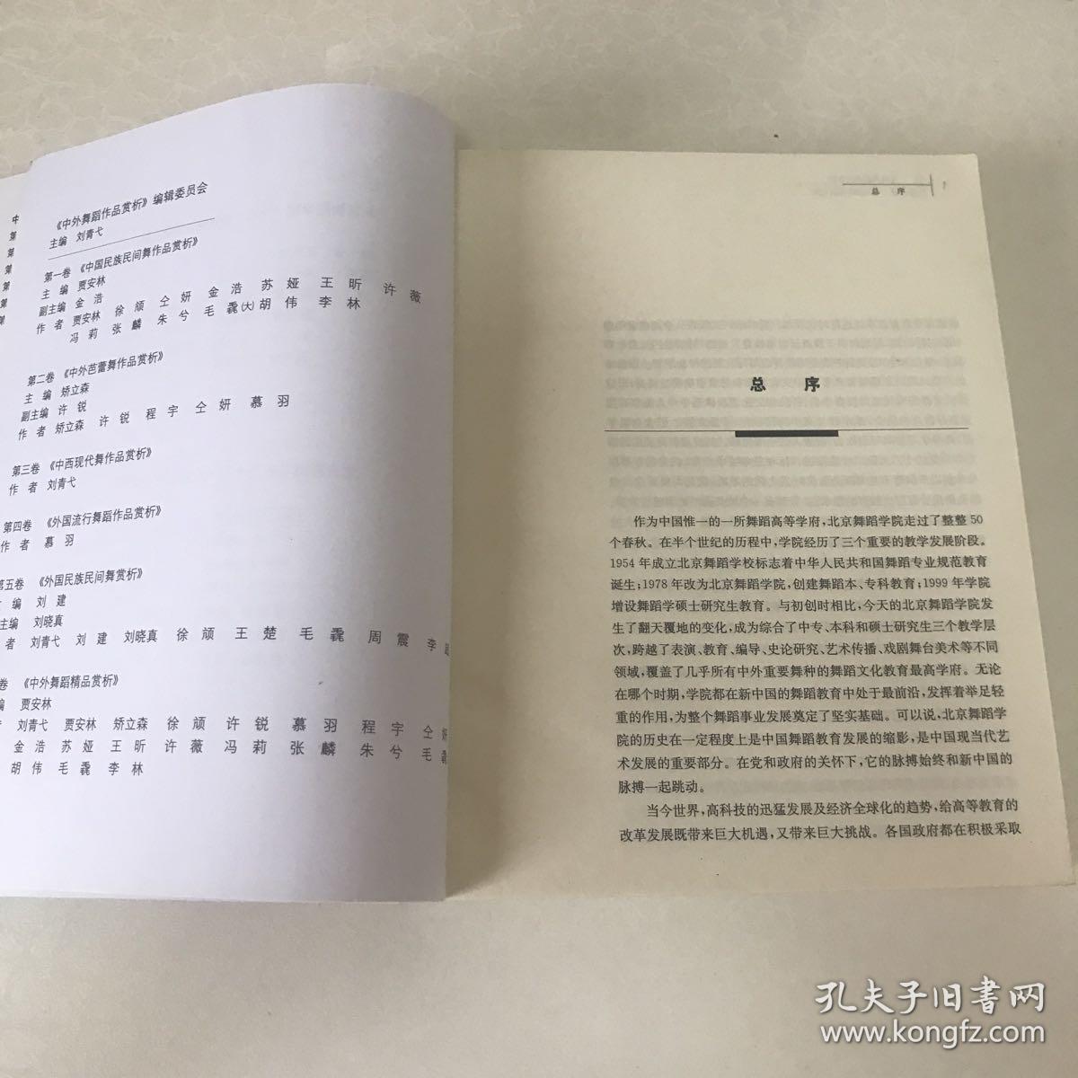 中外舞蹈作品赏析：中外舞蹈精品赏析