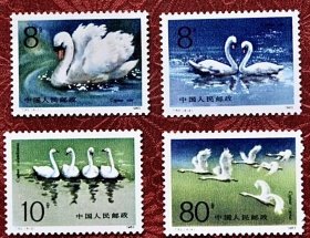 邮票T83天鹅（全套4枚·原胶新票）