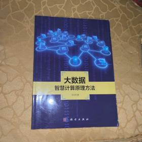 地理信息系统理论与应用丛书：大数据智慧计算原理方法