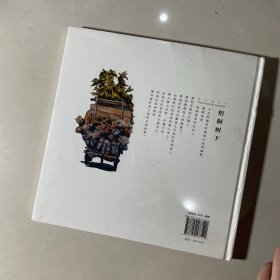 梧桐树下
