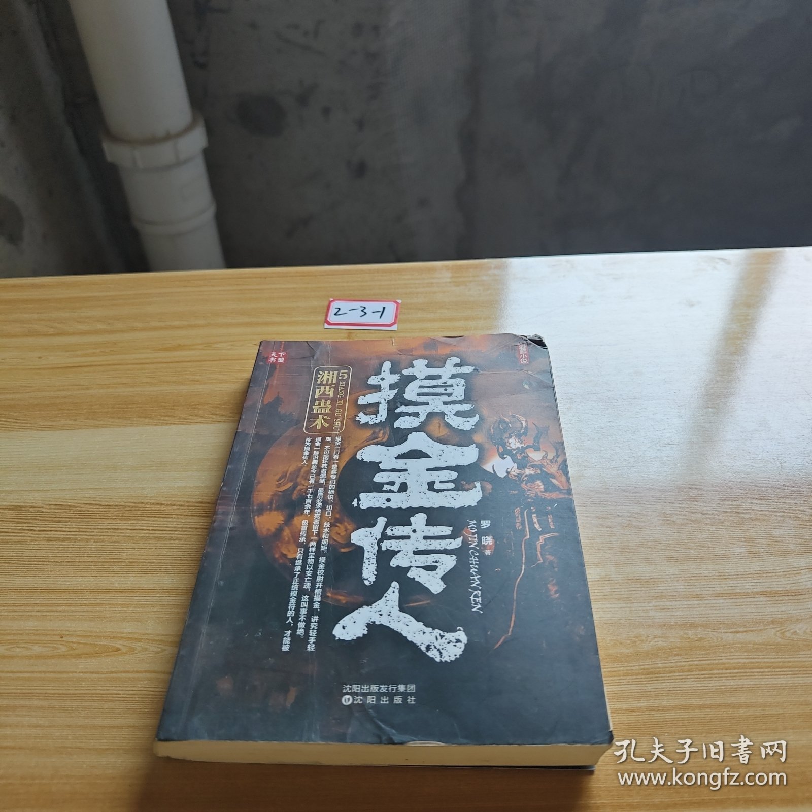 摸金传人5湘西蛊术