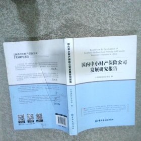 国内中小财产保险公司发展问题研究报告